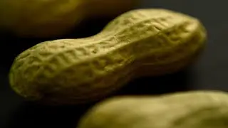 Advice to feed babies peanuts early and often helped thousands of kids avoid allergies