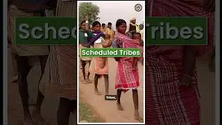 Food Security in India: Bridging the Gap from Farm to Plate