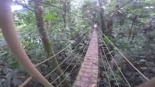 A walk with a GoPro LSBFS (part 1) 2018