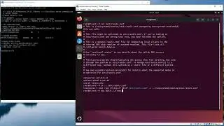 Setting the default nameserver on Ubuntu Linux