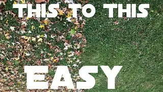 How to clean up leaves fast and easy