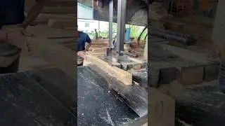 Timber cutting sawmill🔥🪵|#shorts #sawmill #treecutting