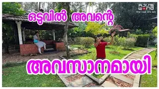 ഒരു ദാരുണാന്ത്യം.../ Family vlog /Fish recipe /Village cooking /Entertainment 