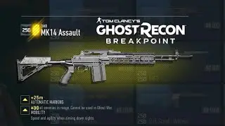 Ghost Recon Breapoint - Mk14 Assault color Paint