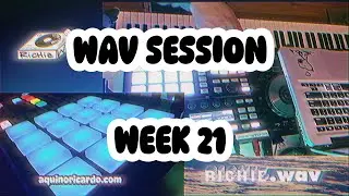 .WAV SESSION - WEEK 21 BEATS & SAMPLE SLIPS