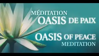 Oasis de paix sp&eacute;ciale | Oasis of Peace, 28 d&eacute;cembre 2025