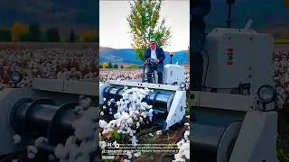 Cotton Harvest: Farmer Uses Modern Machinery to Collect Cotton