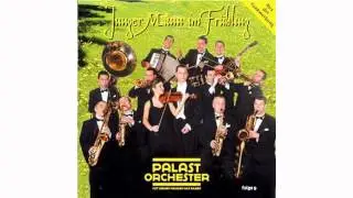 Palast Orchester - Junger Mann im Fr&uuml;hling