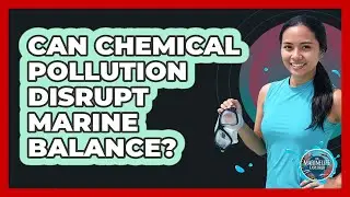 Can Chemical Pollution Disrupt Marine Balance?