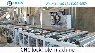 Project name: alfa doors auto WPC line