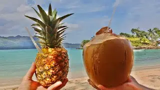Von Samana zum Rincon Beach - Dominikanische Republik - 2021