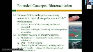 MST iGEM [12] - Projects & Bioremediation