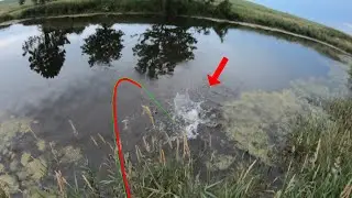 Close Quarters Whopper Plopper Blowups (Farm Pond Fishing)