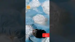 #Shorts asmr, sleep for relax ,асмр ,спящий человек для успокоения и сна