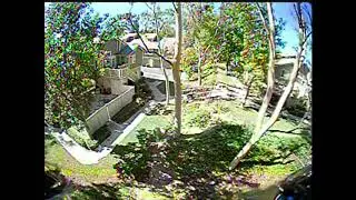 RACER X FPV SPEED RACER TWIG FREESTYLE SESSION