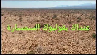 كفاش تقلب الأرض الفلاحية العارية باش متقولبش فشرا