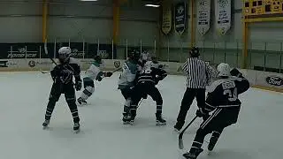 1/18 TI Vs Pitt Artic Foxes .960 SV%