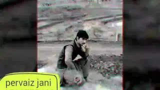 Pervaiz jani