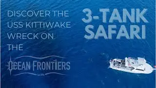 Discover the Kittiwake on the 3-Tank Safari by Ocean Frontiers