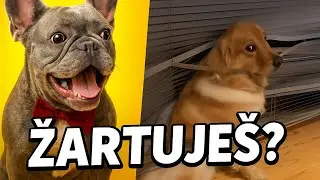 V&Scaron;ETKO BOLO OK&hellip;AŽ DOK&Yacute;M 😳