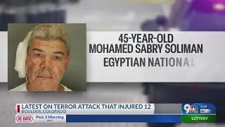 Egyptian national the suspect in bizarre terror attack