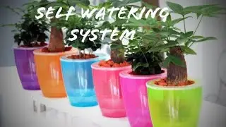 Self  Plants   WATERING SYTEM  #bestoutofwaste #diy#diyprojects #diyproject #crafting