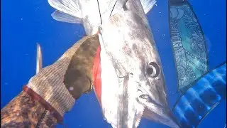 Spearfishing III game in blue water