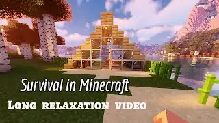 Survival in Minecraft. PART 1.  Long relaxation video.