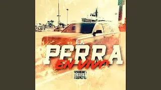 La Perra (En Vivo)