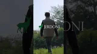 Jerdoni Blue Vest Collection