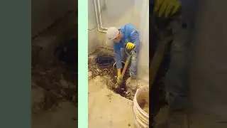 Fixing Basement Wall Cracks and Cellar Drainage #basementwaterproofing