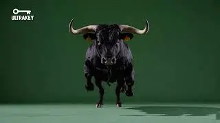 Charging Bull 2 &ndash; Free Green Screen Loop Animation VFX