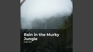 Muddy Jungle Rain