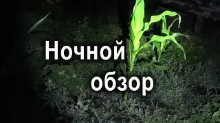 Маленький, но гордый фонарик BlitzWolf BW-ET1