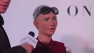 Female Entrepreneurs Day (FED) 2017