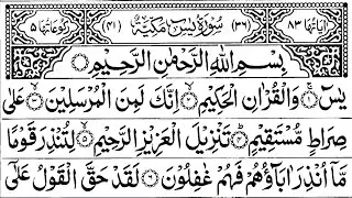 Surah Yasin | quran tilawat |Ep 529 | Daily Quran Tilawat Surah Yaseen Surah Rahman Surah Waqiah