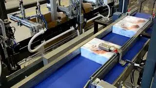 Lantech CP 1000 Case Packer For Cartons
