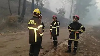 Incendie en Gironde : 2 900 hectares de forêt brûlée à La Teste-de-Buch