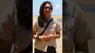 HUMEDALES COSTEROS ZAMBUCO - DiBio 2023