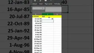 Age Calculator ✅ Advanced Basic Functions in Excel #agecalculation  #dashboard #spreadsheet #shorts
