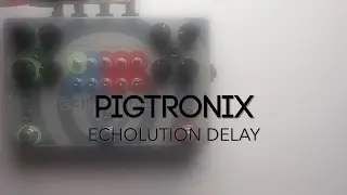 Pigtronix Echolution Analog Tap Tempo Delay Guitar Effects Pedal Demo