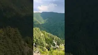 Green Valley - Shimla 1.0