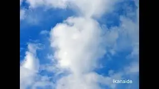 Ikanaide - A Synth V Cover