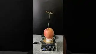 Tesla coil + apple + plants