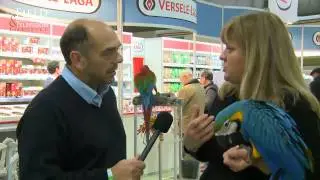 Parrot Behaviourist at the Gouden Ring Bird Show 2013