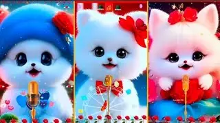 Sweet Kitty Naat 😻💫 Noor Wala Aaya Hai 💖 Milad-e-Nabi 🌸 Muslim Love ❤️ Muhammad ﷺ