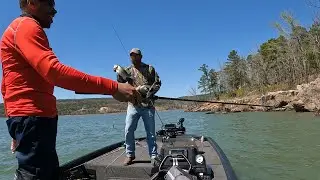 Arkie BFL 2022 &mdash; Рыбалка на пароме Грирс