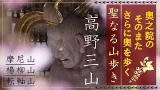 【神秘の高野三山登山】聖地・高野山の奥深くへ──御廟を囲む巡礼の道と関西百名山・楊柳山の絶景を歩く旅