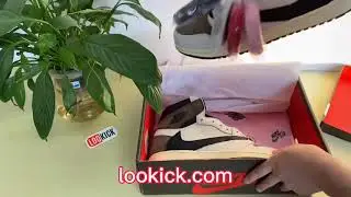 Jordan 1 TS SP 