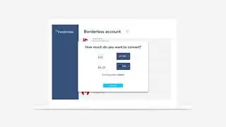 TransferWise. Introducing the Borderless account
